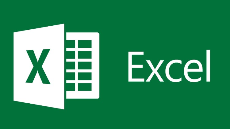 Professional MS-Excel