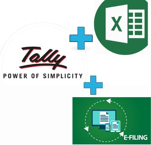 Tally with Professional Excel & E-filing